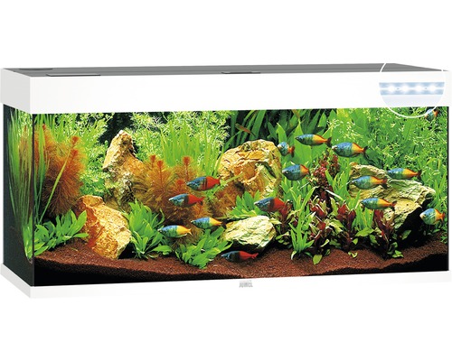 Juwel Aquarium JUWEL Rio 240 aquarium with LED lighting, pump, filter, heater without white base cabinet