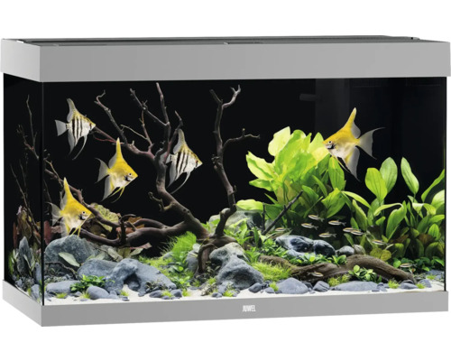 JUWEL Rio 290 SBX aquarium with LED lighting, heater, filter (without cabinet), grey, approx. 101 x 51 x 66 cm, approx. 290 L