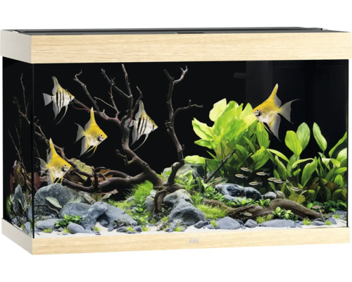JUWEL Rio 290 SBX aquarium with LED lighting, heater, filter (without cabinet), light wood, approx. 101 x 51 x 66 cm, approx. 290 L