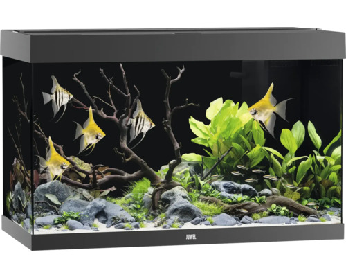 JUWEL Rio 290 SBX aquarium with LED lighting, heater, filter (without cabinet), black, approx. 101 x 51 x 66 cm, approx. 290 L