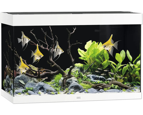 JUWEL Rio 290 SBX aquarium with LED lighting, heater, filter (without cabinet), white, approx. 101 x 51 x 66 cm, approx. 290 L