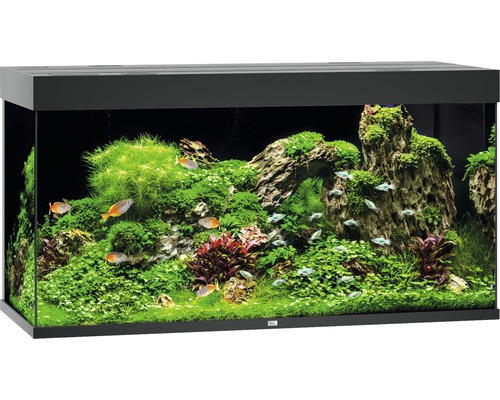 Aquarium JUWEL Rio 350 with LED lighting, pump, filter, heater without cabinet black