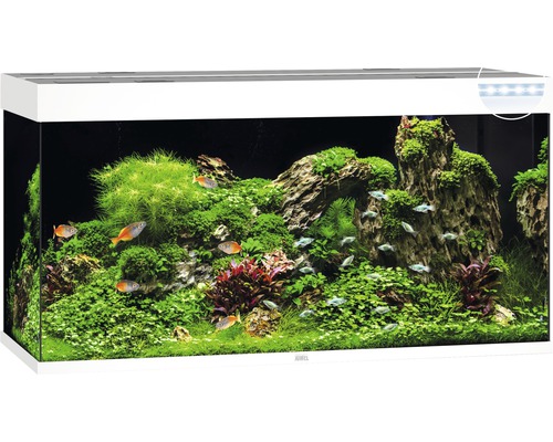 Aquarium JUWEL Rio 350 with LED lighting, pump, filter, heater without cabinet white