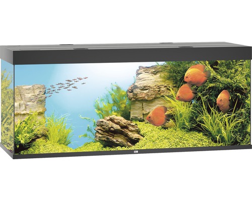 Juwel Aquarium Aquarium JUWEL Rio 450 with LED lighting, pump, filter, heater without black base cabinet