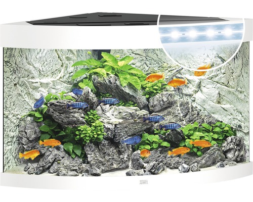 Juwel Aquarium Aquarium JUWEL Trigon 190 with LED lighting, filter, heater without base cabinet white approx. 98.5 x 70 x 60 cm approx. 190 L corner aquarium