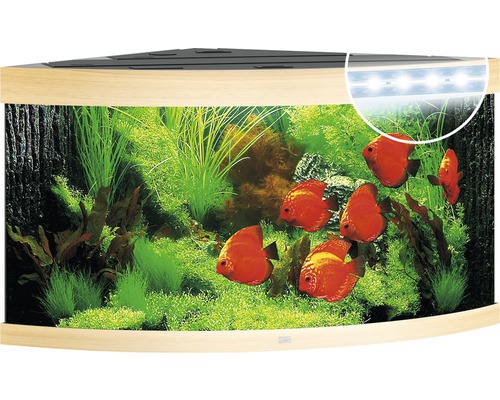 Juwel Aquarium Aquarium JUWEL Trigon 350 with LED lighting, filter, heater without base cabinet light wood approx. 123 x 87 x 65 cm approx. 350 L corner aquarium