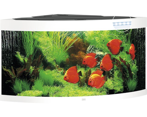 Juwel Aquarium Aquarium JUWEL Trigon 350 with LED lighting, filter, heater without base cabinet white approx. 123 x 87 x 65 cm approx. 350 L corner aquarium