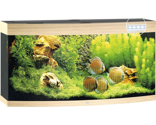 Aquarium JUWEL Vision 260 with LED lighting, heater, filter without cabinet light wood