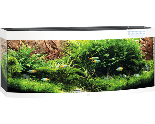 Aquarium JUWEL Vision 450 incl. LED lighting, heater, filter without cabinet white
