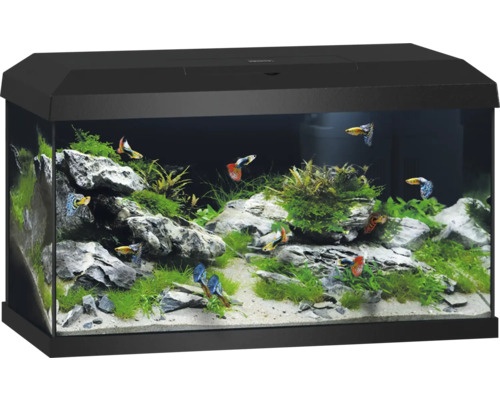 Juwel Aquarium Aquarium set JUWEL Primo 60 including cover with LED lighting, heater, filter without base cabinet, black, 61 x 37 x 37 cm, 57 l