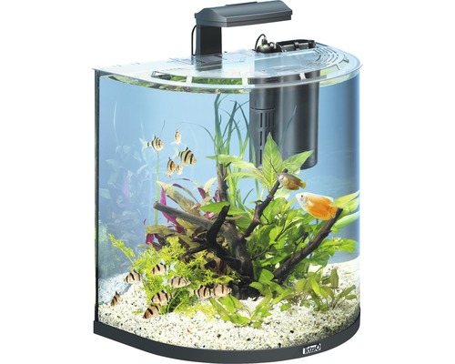 Aquarium Tetra AquaArt Explorer Line 60 l with lighting, heater, filter without base cabinet black