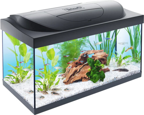Aquarium Tetra Your Aquarium Starter Line including cover with lighting, inner filter, heater, food water conditioner back wall film 61 x 36 x 32 cm