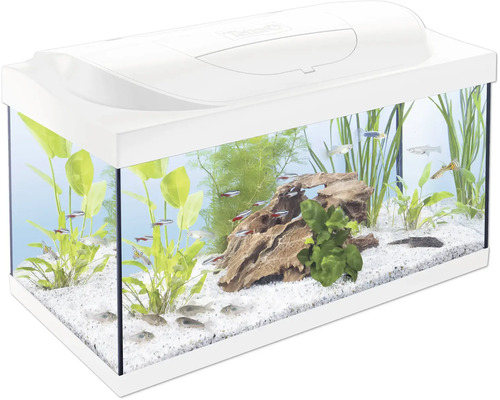 Hornbach Aquarium Tetra Little Researchers Club including cover white with LED lighting 10 W, internal filter, heating rod, back wall film, food, water conditioner, safety net approx. 54 L, approx. 61 x 31 x 30.8 cm
