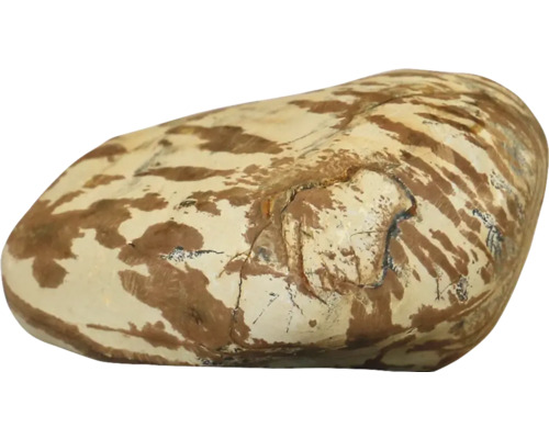 Aquarium decoration aquadeco Shodo stone approx. 0.8kg aquascaping