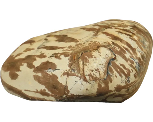 Aquarium decoration aquadeco Shodo stone M approx. 2.3 kg aquascaping