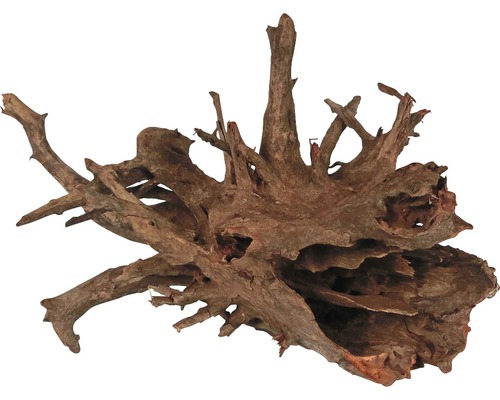 ORBIT Aquarium decoration Corbo root large
