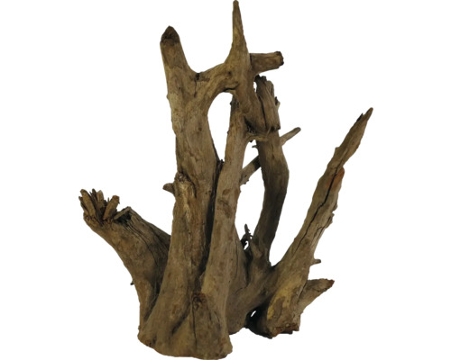 Aquarium decoration Corbo root small approx. 30 -35 cm, aquarium root, brown wood