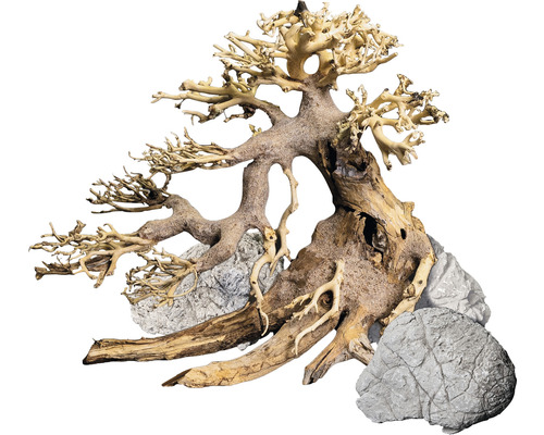 Aquarium decoration DENNERLE Decor Box Bonsai, natural decoration set for aquarium, 1 x bonsai tree approx. 20 x 15 cm + 3 x sea mountain stone approx. 10 x 15 cm