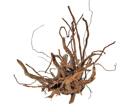 ORBIT Aquarium decoration finger root 20-30 cm