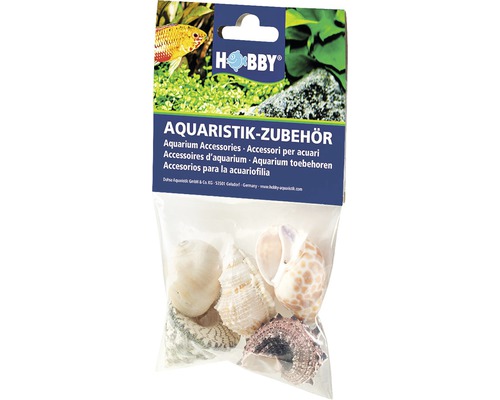 Aquarium Decoration Hobby Snail Shells Sea Shells Set L 5 pieces