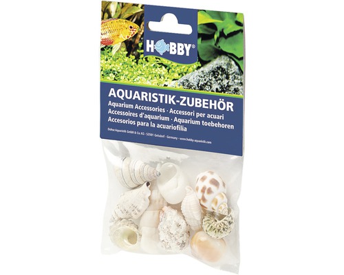 Aquarium Decoration Hobby Snail Shells Sea Shells Set M 10 pieces