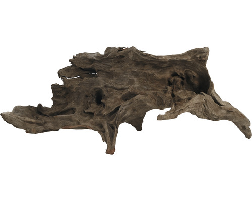 Aquarium decoration Kapas root medium approx. 20 - 30 cm