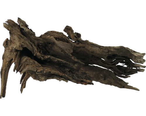 ORBIT Aquarium decoration Kapas root XL approx. 50 x 20 cm