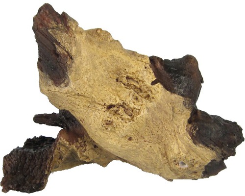 ORBIT Aquarium decoration Mopani root nano