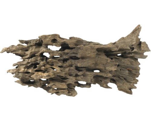 Aquarium decoration ORBIT Caruqa root, X-Large, 2-3 kg approx. 40 - 60 cm