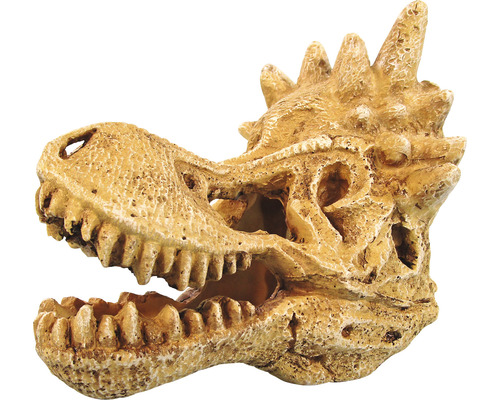 Aquarium decoration ORBIT animal skull 14 x 10 x 12 cm