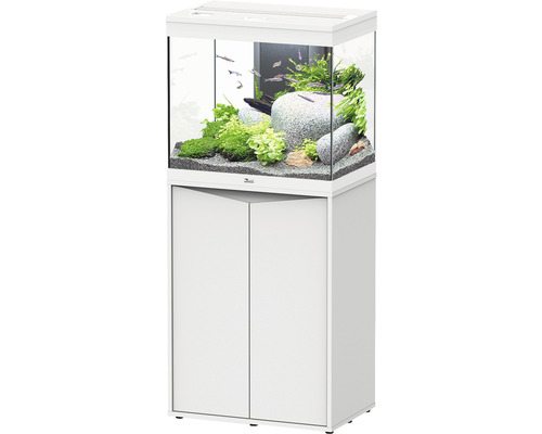 Aquarium combination aquatlantis Splendid 110 including LED lighting, filter, white base cabinet