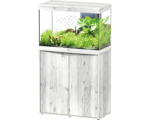 Aquarium combination aquatlantis Splendid 145 including LED lighting, filter, white ash cabinet