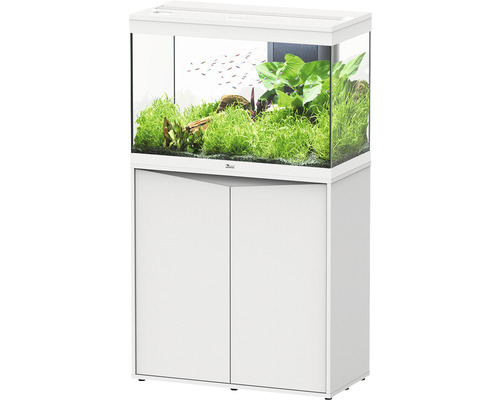 Aquarium combination aquatlantis Splendid 145 including LED lighting, filter, white base cabinet