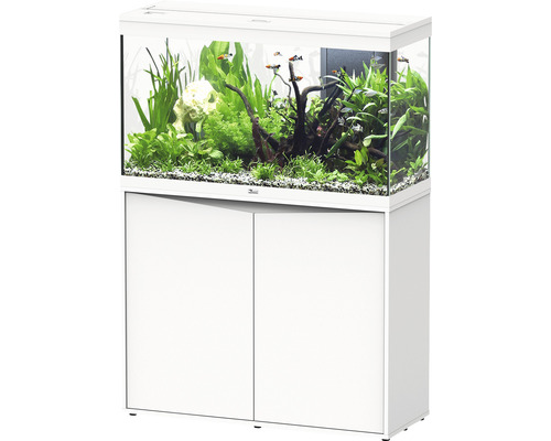 Aquarium combination aquatlantis Splendid 200 including LED lighting, filter, white base cabinet