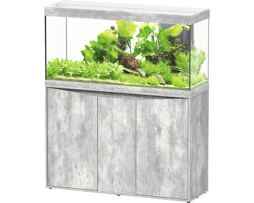 Aquarium combination aquatlantis Splendid 240 including LED lighting, filter, base cabinet stone look