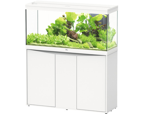 Aquarium combination aquatlantis Splendid 240 including LED lighting, filter, white base cabinet
