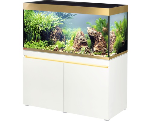 Aquarium combination EHEIM incpiria 430 gold - Limited Edition with lighting and base cabinet