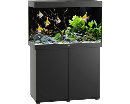 JUWEL Rio 290 SBX aquarium combination with LED lighting, heater, filter and black cabinet, approx. 101 x 51 x 146 cm, approx. 290 L