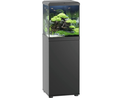 JUWEL Vio Cube 54 aquarium combination including LED lighting, heater, filter and cabinet SBX Vio Cube 54, black