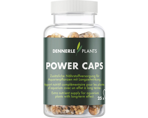 DENNERLE PLANTS Power Caps aquarium plant fertilizer, 25 capsules: root fertilizer with nitrogen, phosphorus, iron and micronutrients.