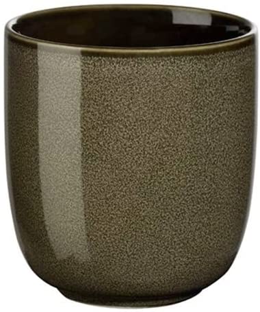 ASA 25415250 Hummingbird Beaker Chestnut 0.3 L