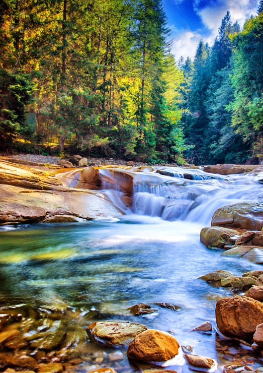 Beautiful Waterfall In The Forest Puzzle 1500 Pieces