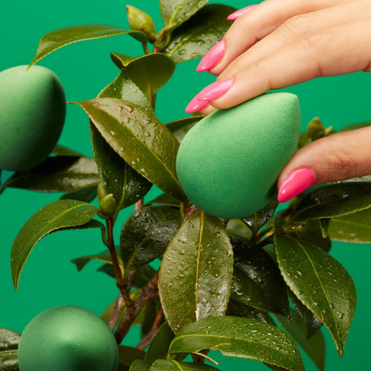 beautyblender make-up sponge Bio Pure