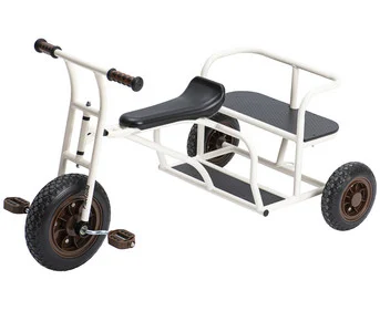 Betzold tricycle “BuddyPlus”