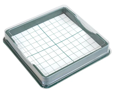Betzold Hundreds Box for Tens Bases