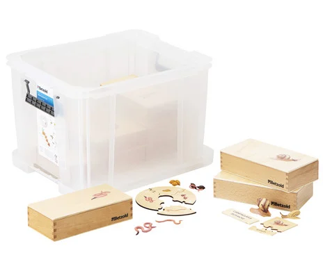 Betzold Life Cycle Set