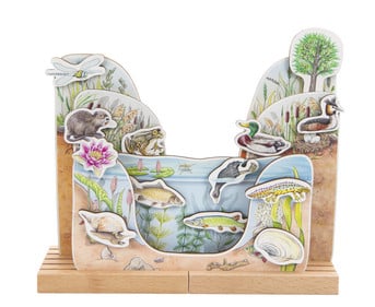 Betzold Zones of the Pond