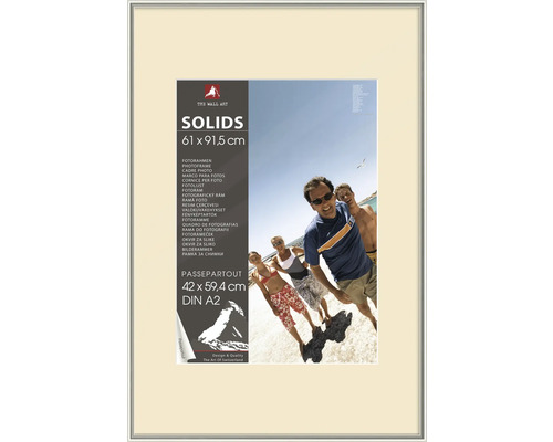 The Wall Picture frame poster frame plastic silver 61x91.5 cm