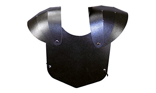 Black Armor 79