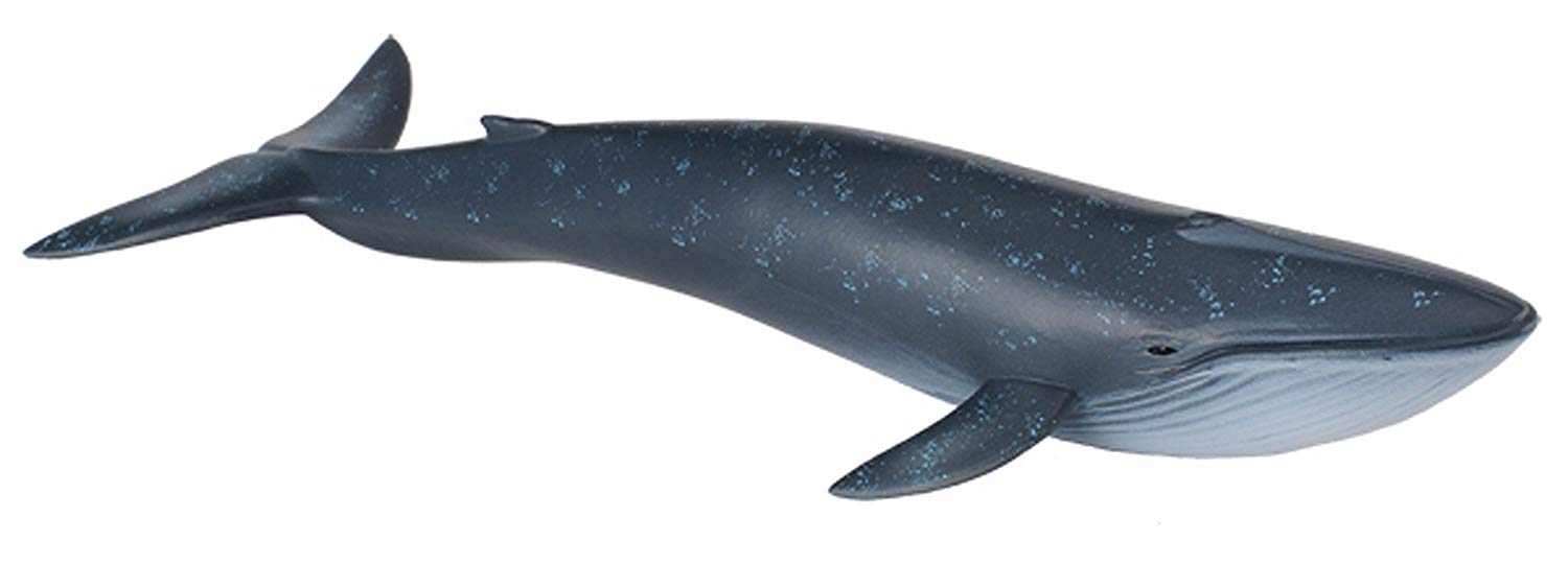 Collecta Blue Whale Figure
